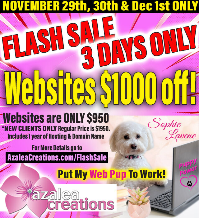 Flash Sale on Websites $950! Nov 29 thru Dec 1